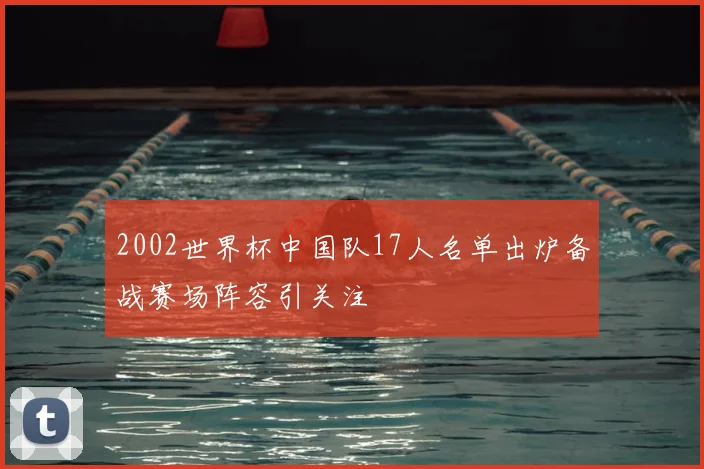2002世界杯中国队17人名单出炉备战赛场阵容引关注