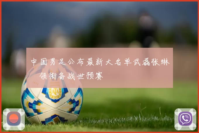中国男足公布最新大名单武磊张琳芃领衔备战世预赛