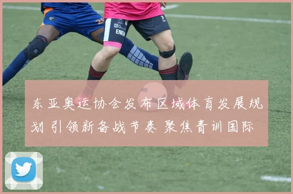 东亚奥运协会发布区域体育发展规划 引领新备战节奏 聚焦青训国际合作