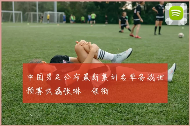 中国男足公布最新集训名单备战世预赛武磊张琳芃领衔