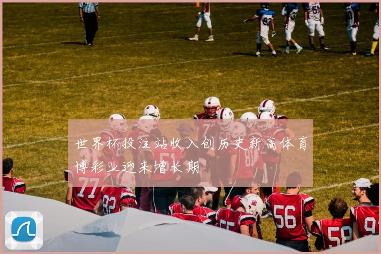 世界杯投注站收入创历史新高体育博彩业迎来增长期