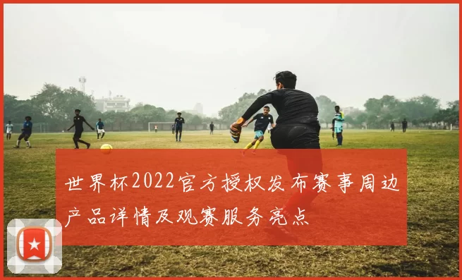 世界杯2022官方授权发布赛事周边产品详情及观赛服务亮点